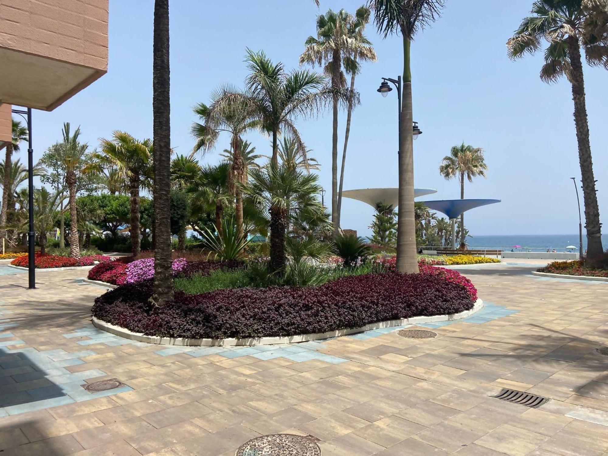 Victoria Home & Parking Estepona Extérieur photo